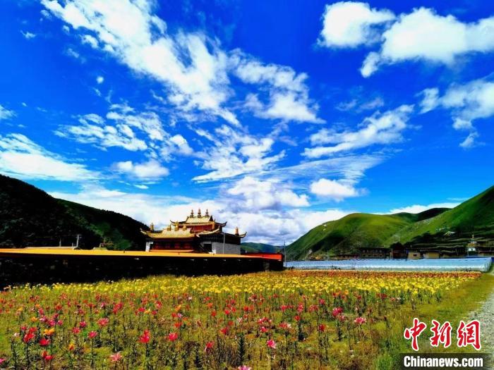 近百畝百合花競(jìng)相開放，景色誘人?！∪捞量h委宣傳部供圖