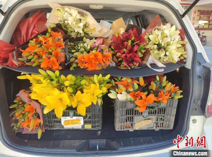 剛剛采摘下來的百合花?！∪捞量h委宣傳部供圖