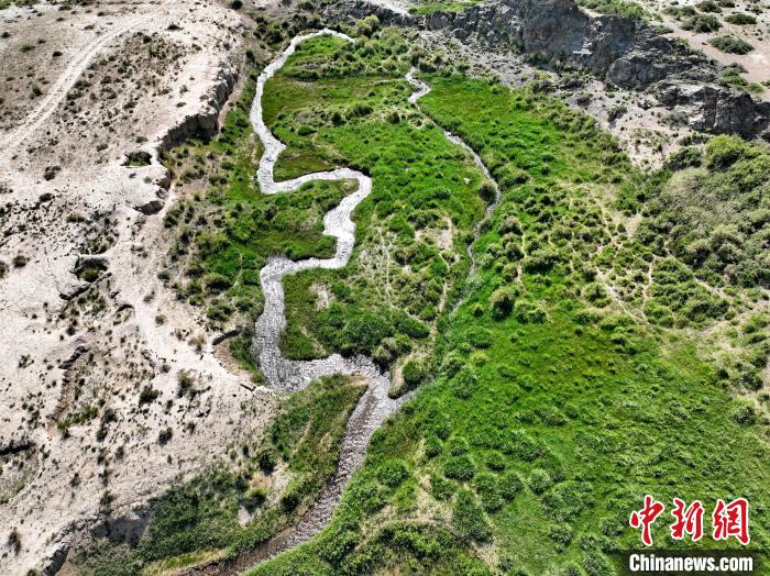 圖為航拍都蘭湖國(guó)家濕地公園綠意盎然?！∑钤鲚?攝