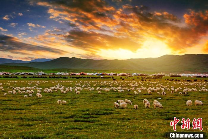 資料圖為青海省玉樹(shù)州稱多縣草原風(fēng)光?！」?攝