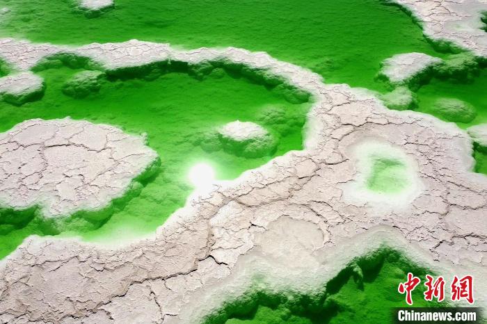 青?！拔鞔箝T”茫崖多舉措蓄能鹽湖產(chǎn)業(yè)發(fā)展