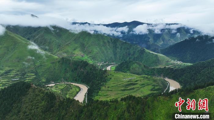 資料圖為果洛州境內(nèi)瑪可河國家森林公園?！●R銘言 攝