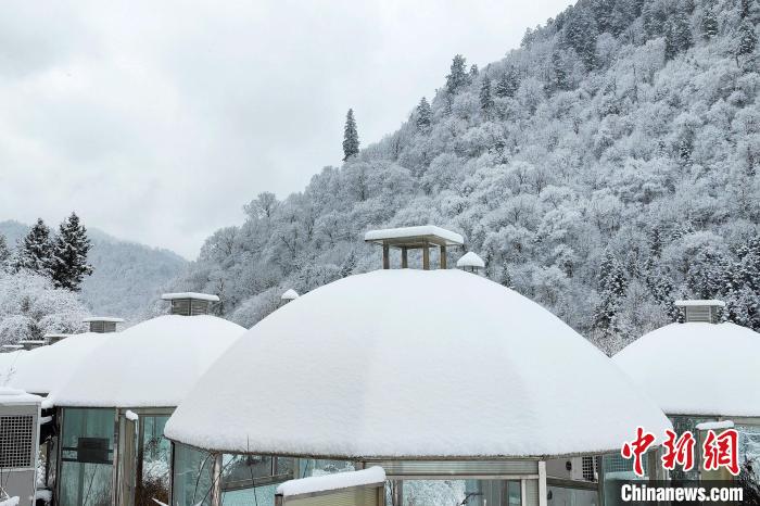 大熊貓國家公園王朗片區(qū)春雪如畫，宛若仙境。　羅春平 攝