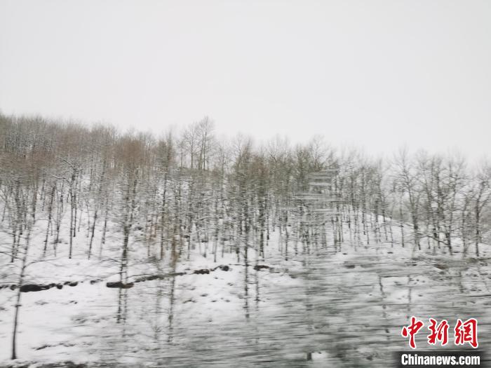 圖為青海青沙山區(qū)域被降雪覆蓋?！?zhí)砀?攝