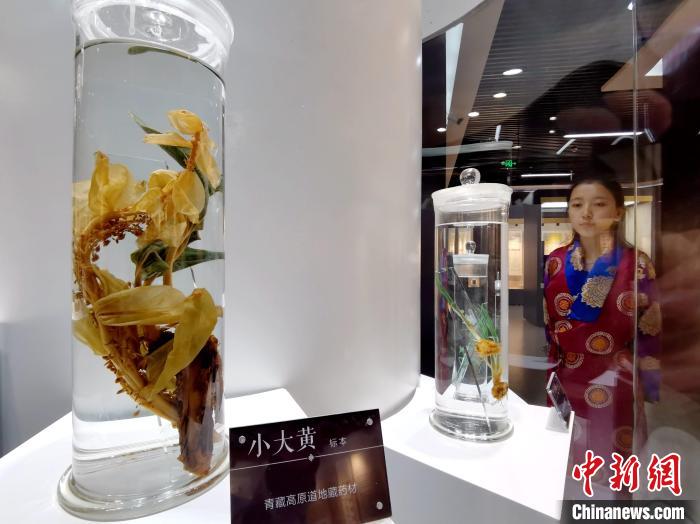 青海中藏醫(yī)藥發(fā)展提速：建設(shè)一批重點專科學(xué)科，推廣一批適宜技術(shù)