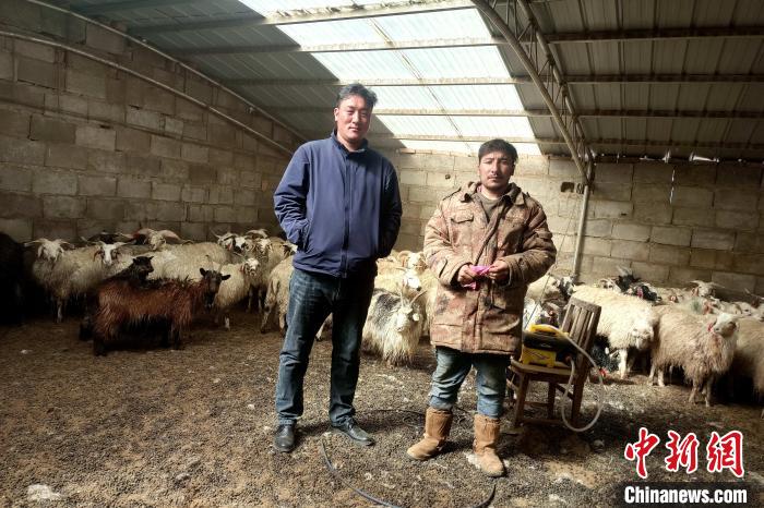 圖為華公太(左)走訪牧民生產(chǎn)生活情況?！〔彭検步?攝