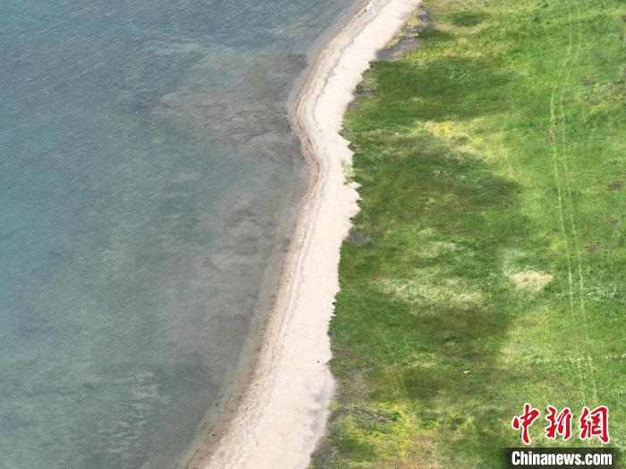 圖為航拍仲夏時(shí)節(jié)，青海湖畔綠茵如毯?！∑钤鲚?攝