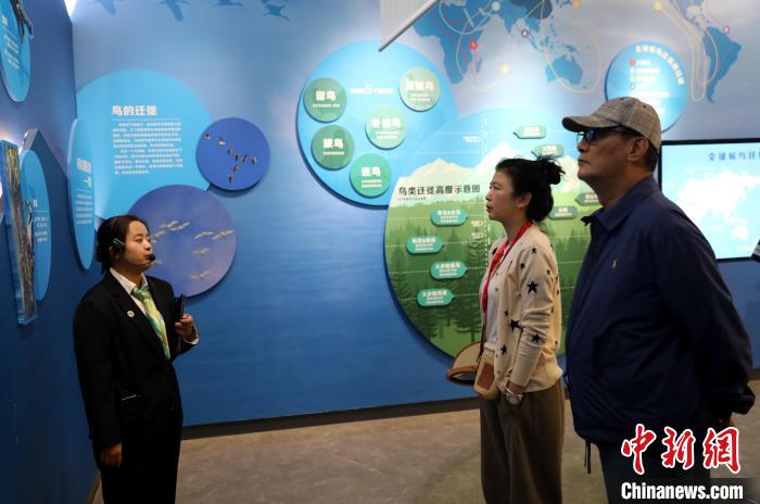 圖為臺商在祁連山國家公園生態(tài)科普館內(nèi)聆聽講解。　薛蒂 攝