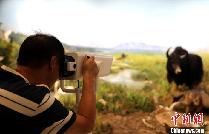 圖為臺商觀看祁連山國家公園生態(tài)科普館內(nèi)生態(tài)場景。　薛蒂 攝