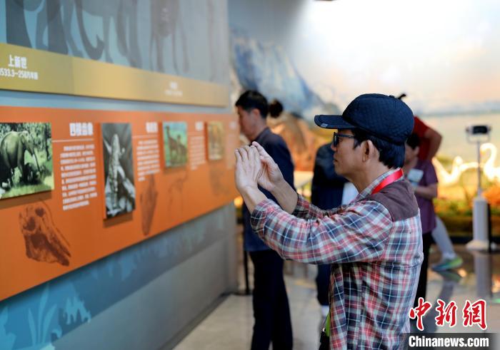 圖為臺商在祁連山國家公園生態(tài)科普館觀看墻面藝術(shù)圖文?！⊙Φ?攝
