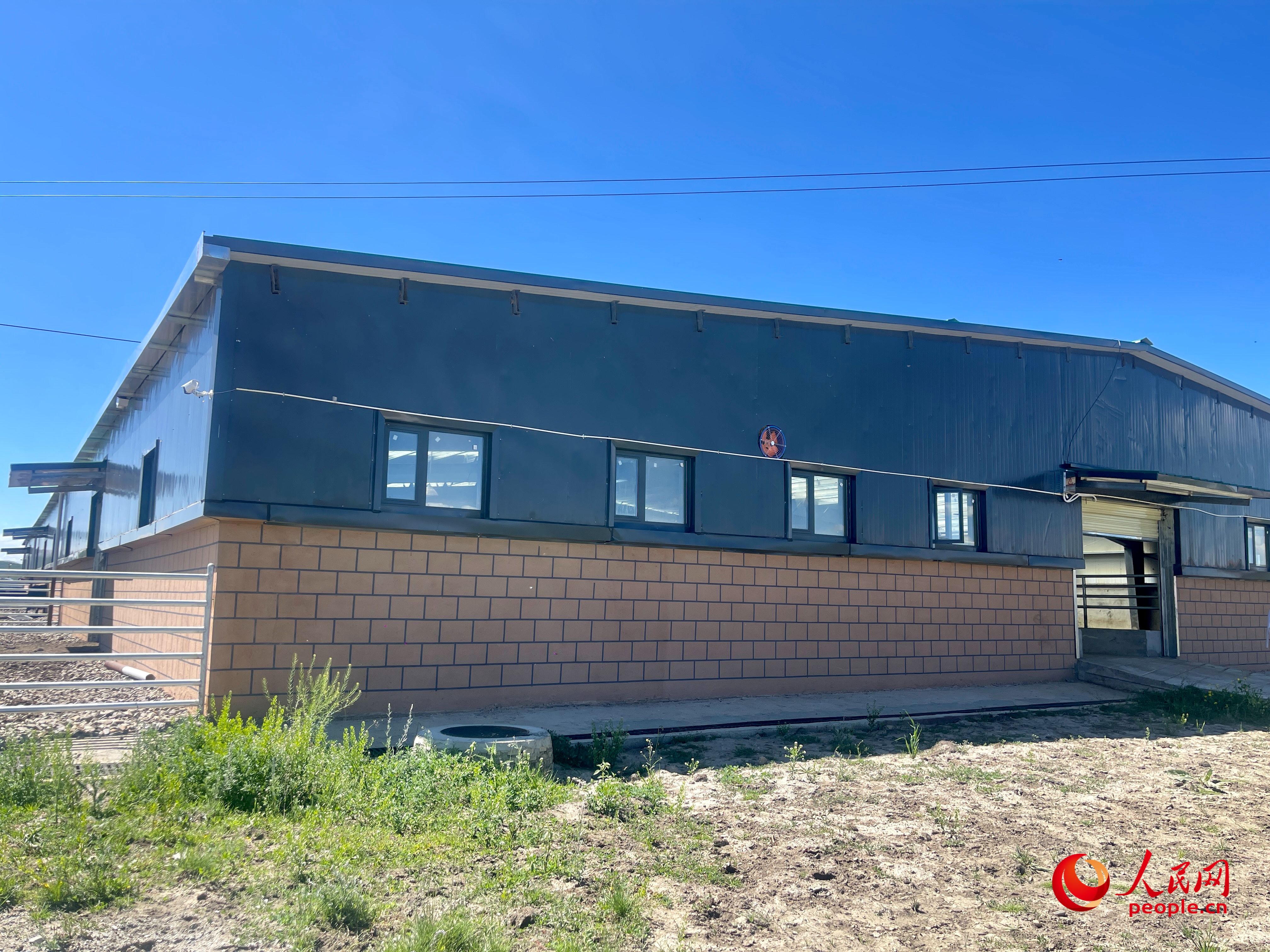 唐日合作社。人民網(wǎng) 周靜圓攝