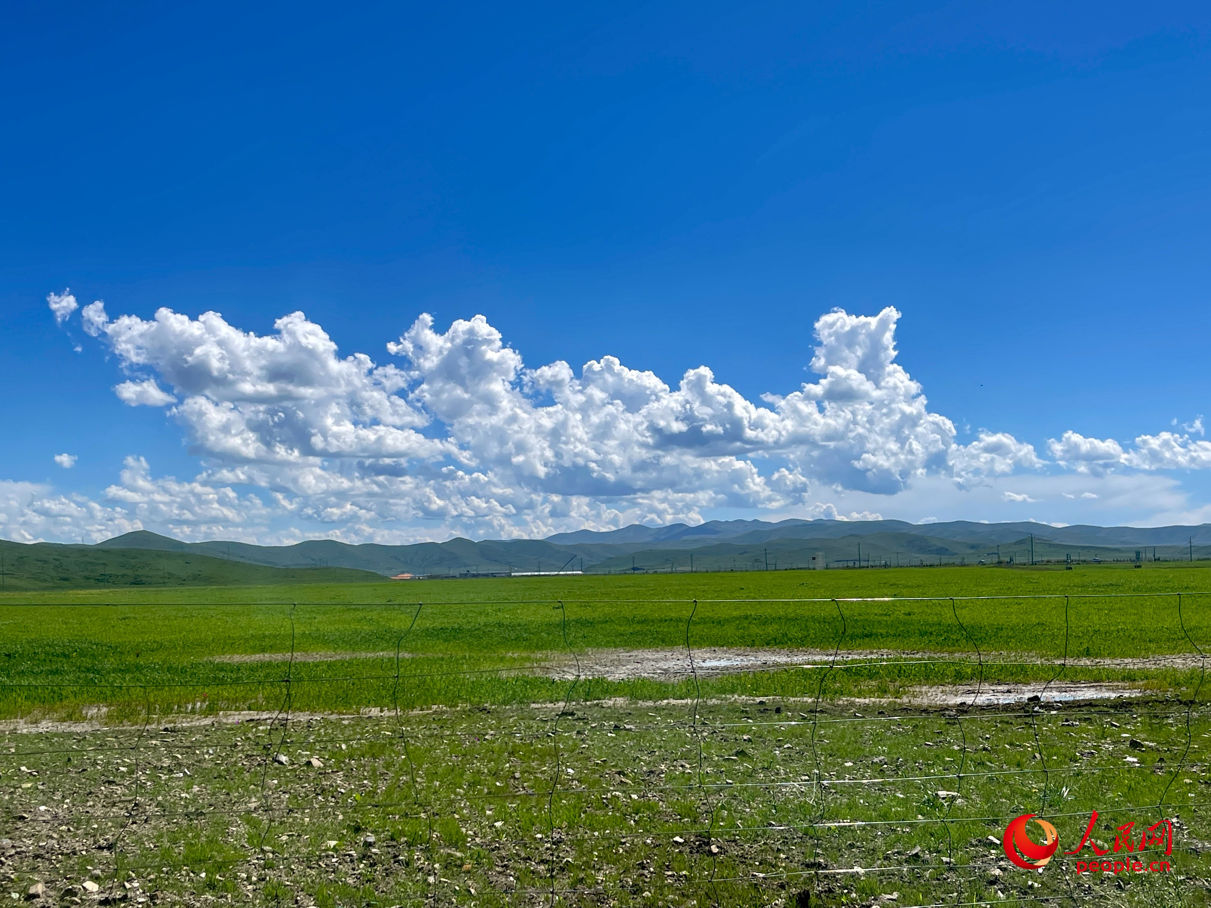 唐日合作社附近，藍天白天、綠草如茵。人民網(wǎng) 周靜圓攝