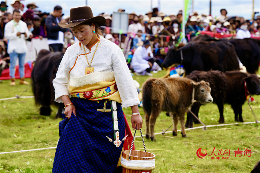 擠牦牛奶大賽。人民網(wǎng) 陳明菊攝