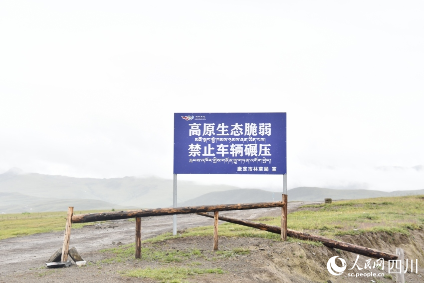 禁止車輛碾壓草原的提示牌。人民網(wǎng)記者 王洪江攝