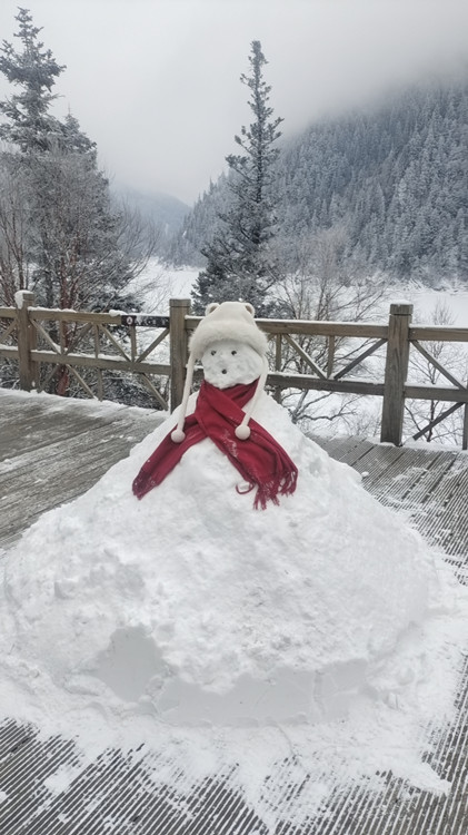 游客堆的雪人。九管局供圖