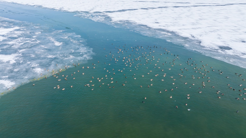 青海湖一角。宋忠勇攝