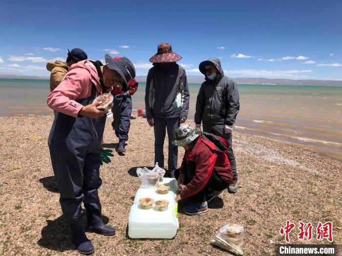 科考隊員在高原湖泊岸邊進餐?！?lt;a target='_blank' ><p  align=