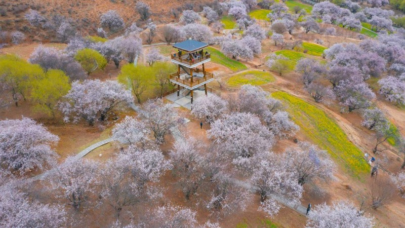 林芝嘎拉村。 張靜攝