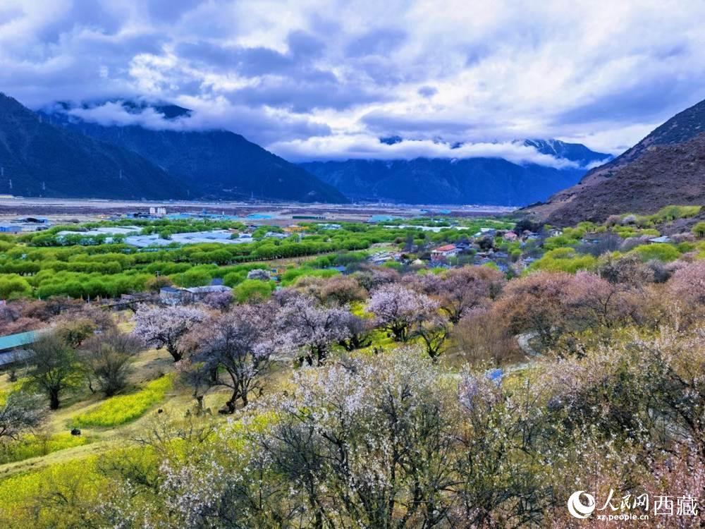 桃花從中的“童話小鎮(zhèn)”。人民網(wǎng) 李海霞攝