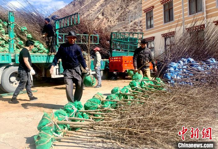 民眾搬運苗木?！〔际忻⒖悼h委宣傳部供圖