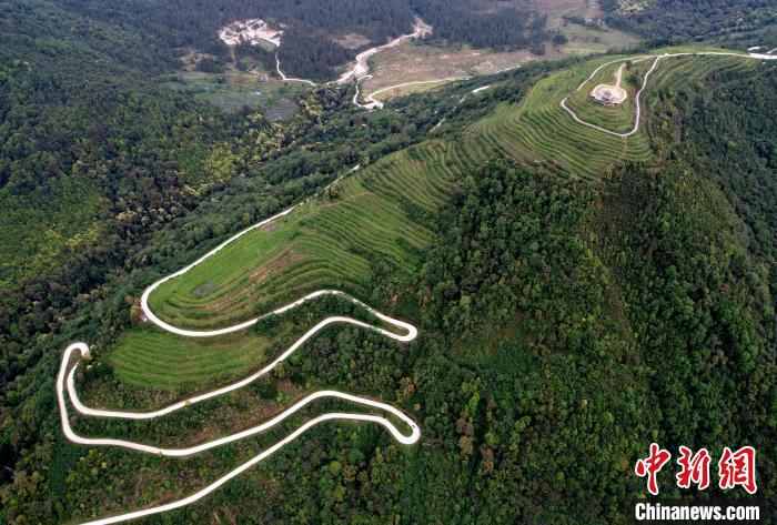 圖為西藏林芝市墨脫縣背崩鄉(xiāng)格林村山頂?shù)木坝^茶園。(無人機照片) 李林 攝
