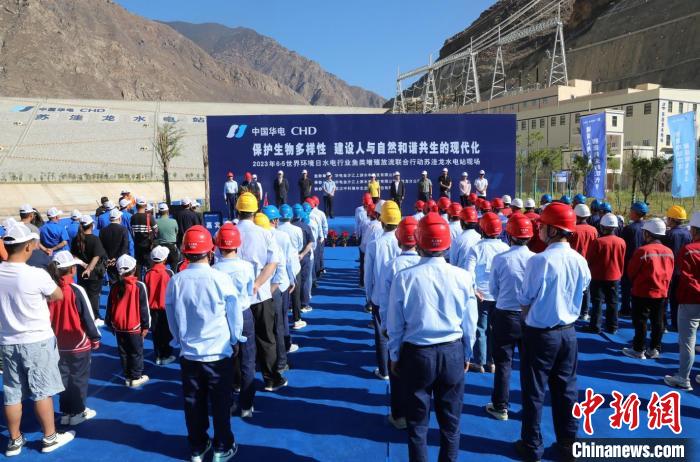 圖為蘇洼龍水電站魚類放流現(xiàn)場。　蘇洼龍水電站供圖