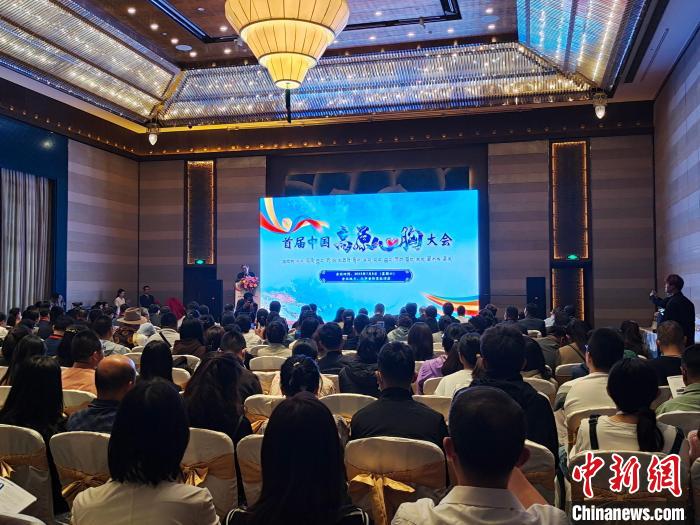圖為首屆中國高原心胸大會現(xiàn)場?！☆D旦旺姆 攝