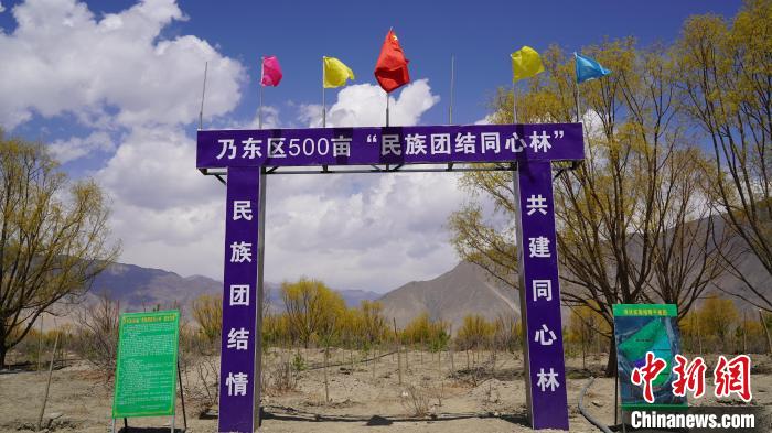 圖為“民族團結(jié)同心林”項目?！∧藮|融媒供圖