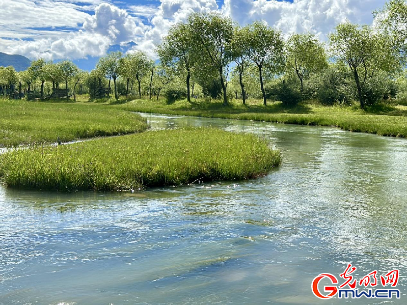 我們的家園丨【組圖】 綠水青山入畫，“金山銀山”筑起