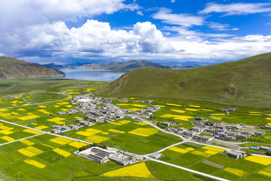 航拍道布龍村，依山傍水，阡陌縱橫。