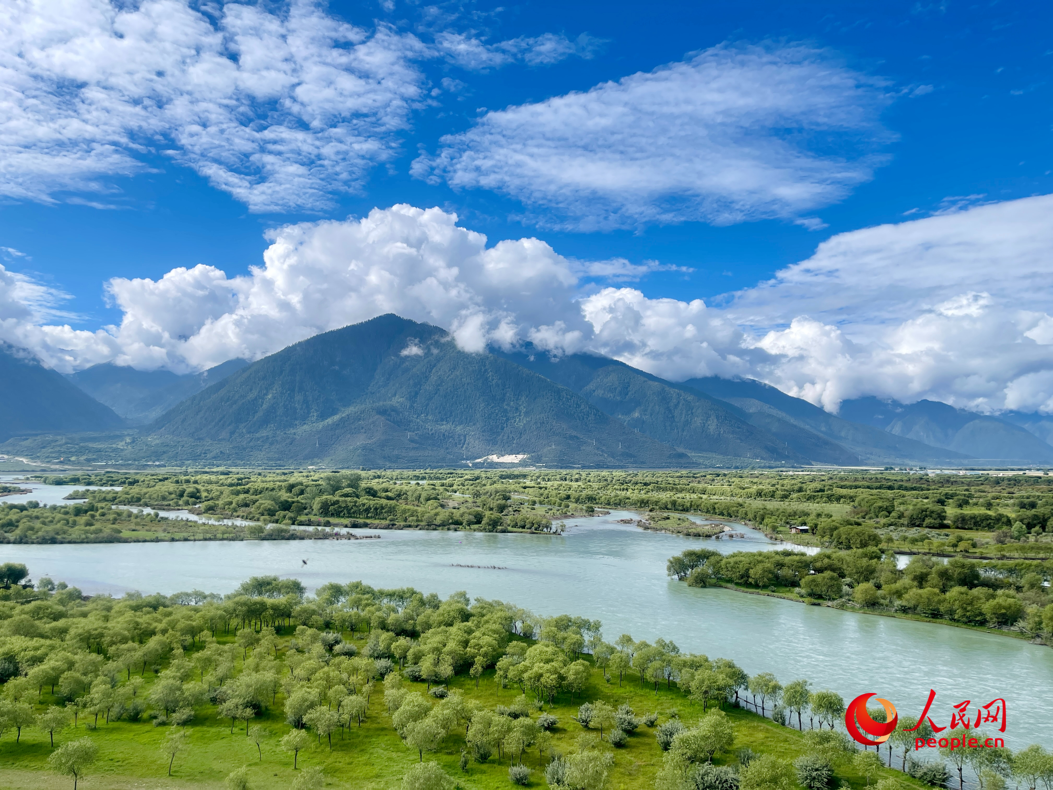夏日的雅尼國家濕地公園生機盎然，如詩如畫。人民網(wǎng) 周靜圓攝