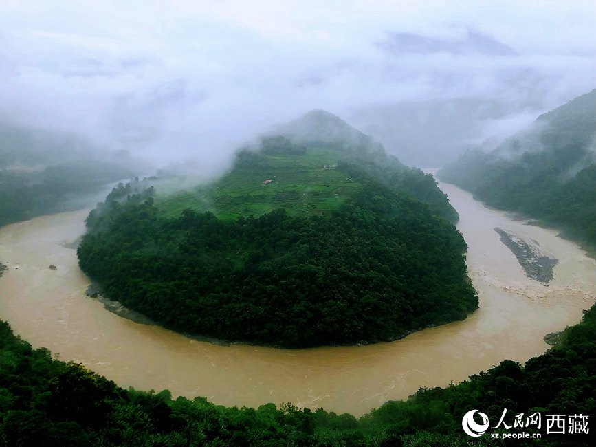 雅魯藏布江大峽谷蛇形拐彎處，山坡上種滿茶樹。