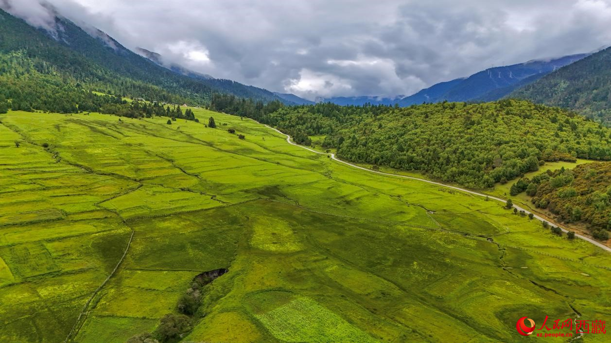 圖為航拍高山牧場(chǎng)鳥(niǎo)瞰圖。人民網(wǎng)記者 次仁羅布攝