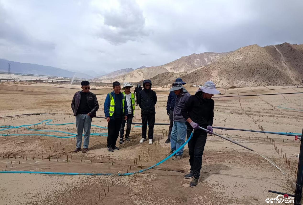 拉薩南北山綠化工程貢嘎段11號(hào)片區(qū)開展生態(tài)修復(fù)工程(主辦方供圖)