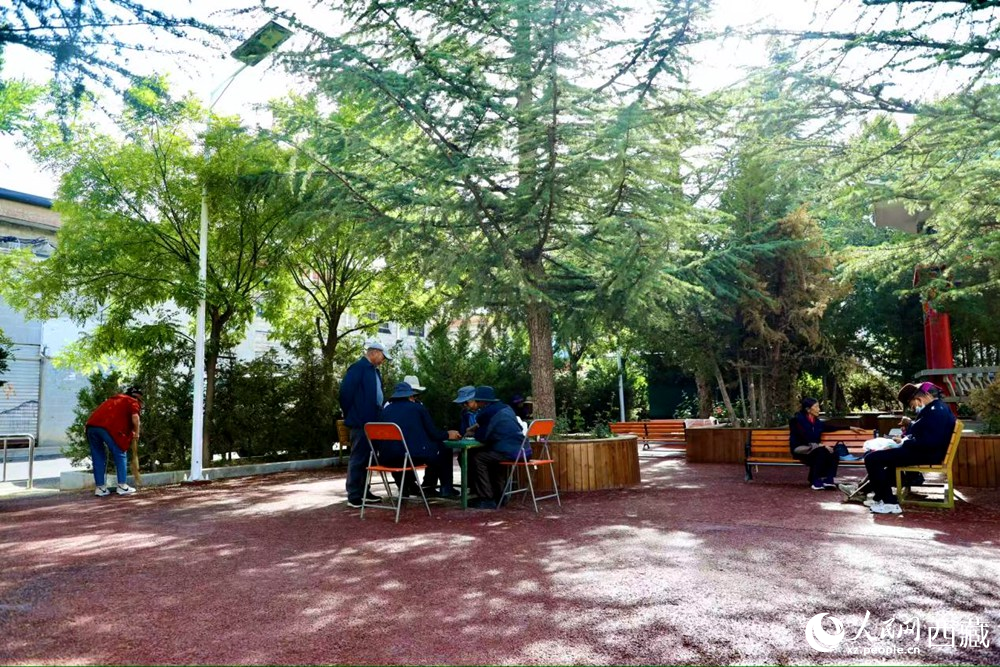 老人們在綠樹成蔭的“社區(qū)會客廳”中對弈休憩。人民網記者 次仁羅布攝