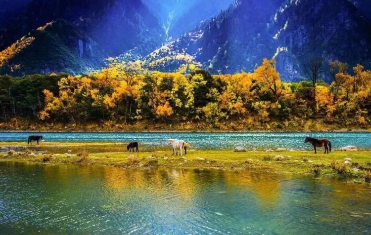 懂西藏的人，一定不會錯過林芝的秋天