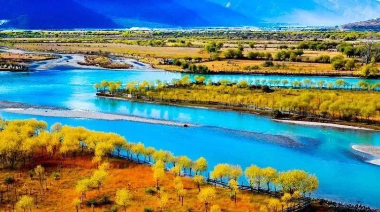 懂西藏的人，一定不會錯過林芝的秋天