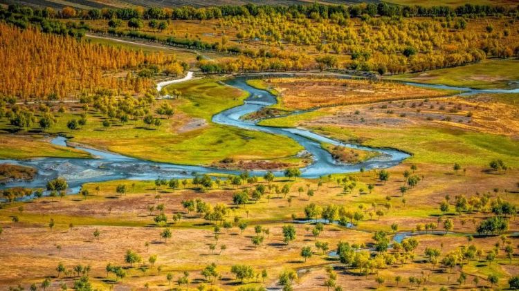 懂西藏的人，一定不會錯過林芝的秋天
