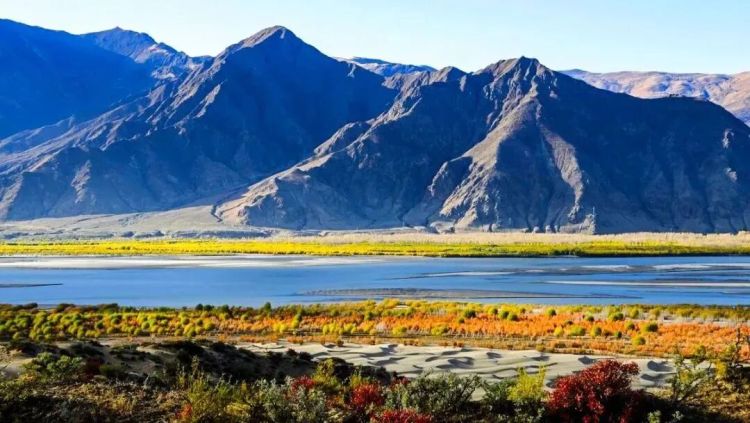 懂西藏的人，一定不會錯過林芝的秋天