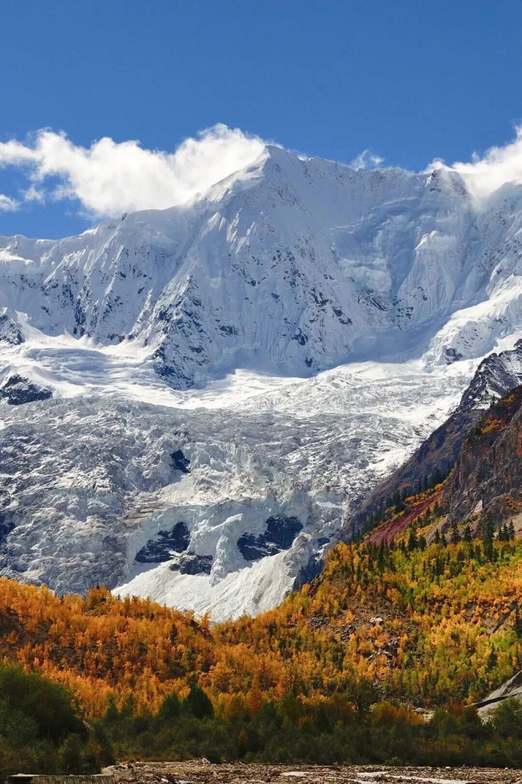 懂西藏的人，一定不會錯過林芝的秋天