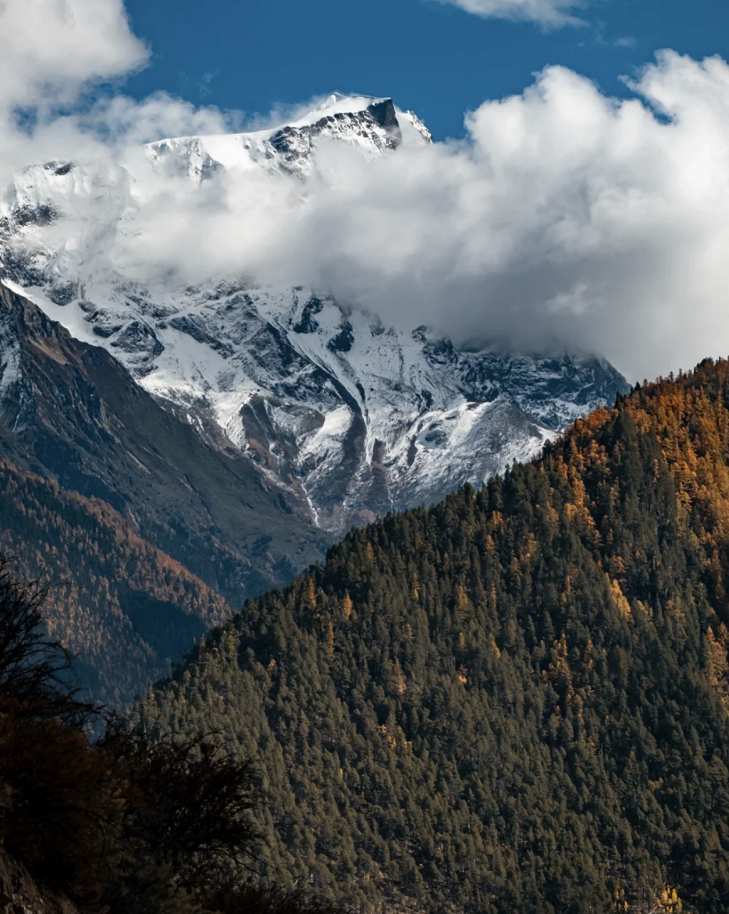 懂西藏的人，一定不會錯過林芝的秋天