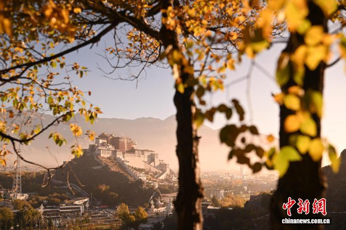 拉薩團(tuán)結(jié)公園秋景如畫