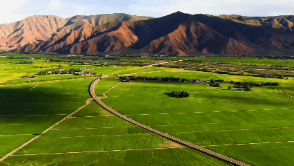 青稞“蛻變”，牦?！俺鋈Α?！看西藏農(nóng)牧民的“十四五”豐收答卷