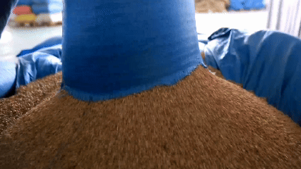 青稞“蛻變”，牦牛“出圈”！看西藏農(nóng)牧民的“十四五”豐收答卷