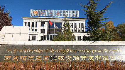 青稞“蛻變”，牦?！俺鋈Α?！看西藏農(nóng)牧民的“十四五”豐收答卷