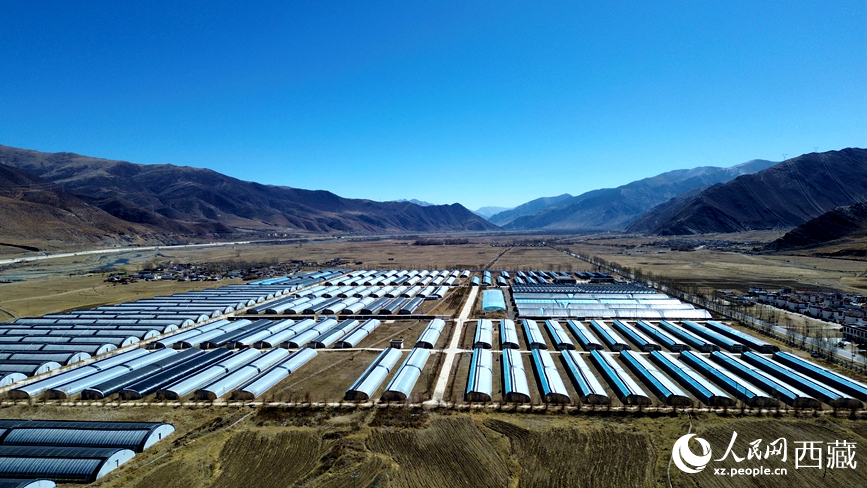 墨竹工卡縣現(xiàn)代農(nóng)業(yè)示范園。人民網(wǎng)記者 吳雨仁攝