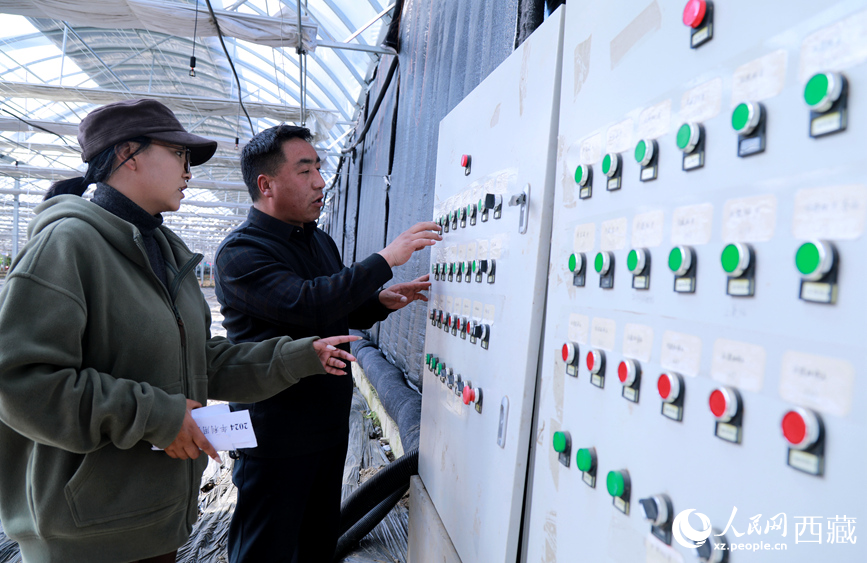 技術(shù)人員正在調(diào)整溫室智能環(huán)境調(diào)控系統(tǒng)。人民網(wǎng)記者 吳雨仁攝