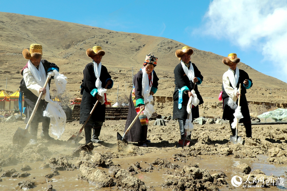 身著傳統(tǒng)服飾的拉東村村民手持鐵鍬疏通水道、引水灌溉，渠水奔涌入田，開啟春耕生產(chǎn)。人民網(wǎng)記者 吳雨仁攝