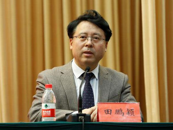 田鵬穎：投入其中、樂(lè)在其中、安身其中
