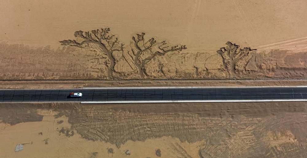 位于國道216沿線的“大地之樹”。邊巴多吉攝